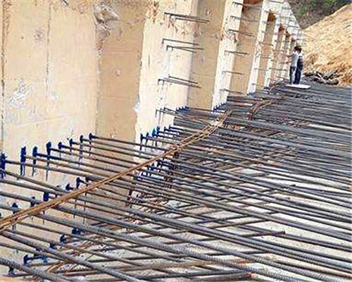 ��ѧֲ���